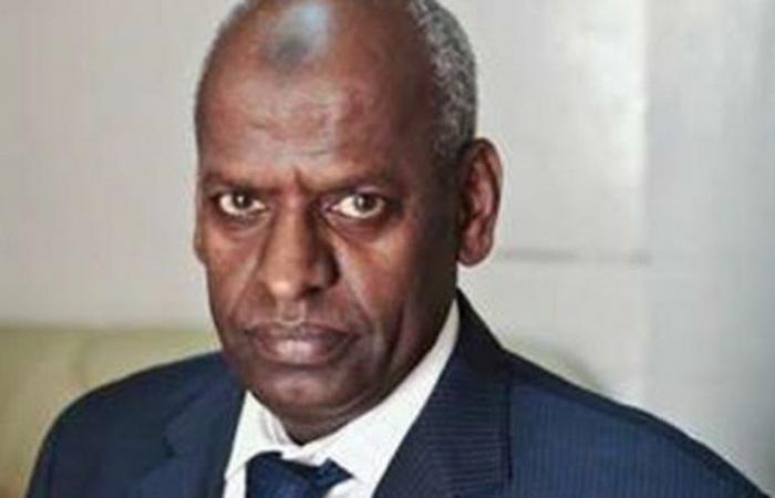 رئيس وزراء جيبوتي يلتقي وفد "إغاثي الملك سلمان"