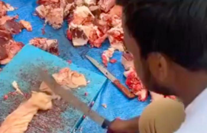 فيديو "تقطيع اللحوم" يربك أمانة تبوك بأول أيام رمضان.. ومغردون يتساءلون: ماذا ستفعل؟
