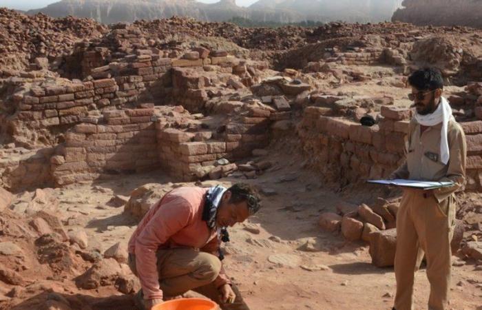دراسة حديثة للعلا أكّدت وجود إحدى أقدم سلاسل الهياكل الأثرية في العالم