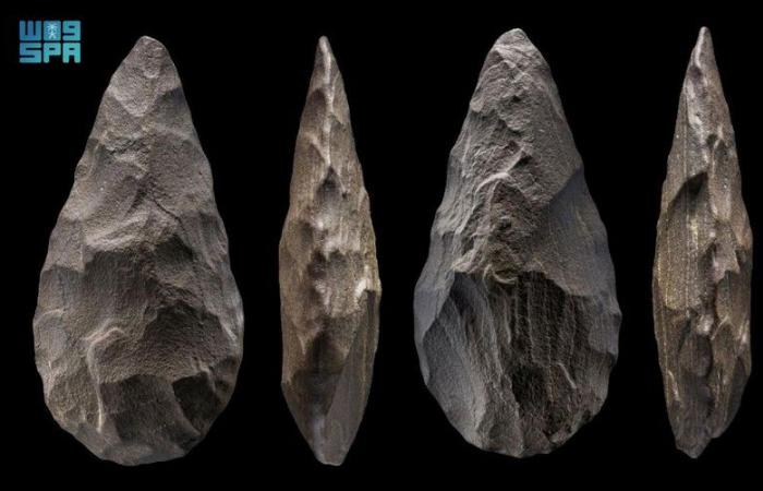 "التراث" وماكس بلانك الألماني يكشفان عن مواقع أثرية تعود إلى حوالى 350 ألف سنة