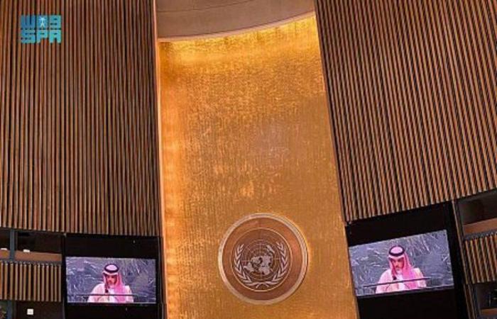 وزير الخارجية: الاعتداءات المستمرة على حقوق الشعب الفلسطيني انتهاكات خطيرة للقانون الدولي وميثاق الأمم المتحدة