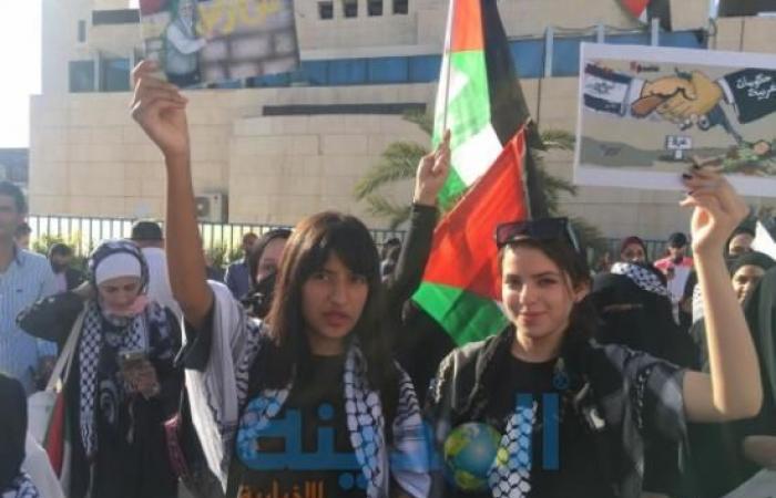 فيديو وصور : وقفة تضامنية مع فلسطين وغزة قبالة السفارة الاسرائيلية