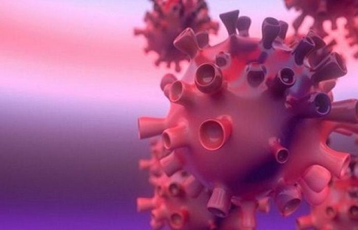 9 وفيات و479 إصابة بفيروس كورونا في كافة المحافظات
