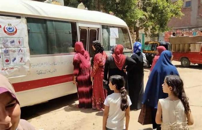 تقديم وسائل منع الحمل لـ 507 سيدة في قرى شبين القناطر