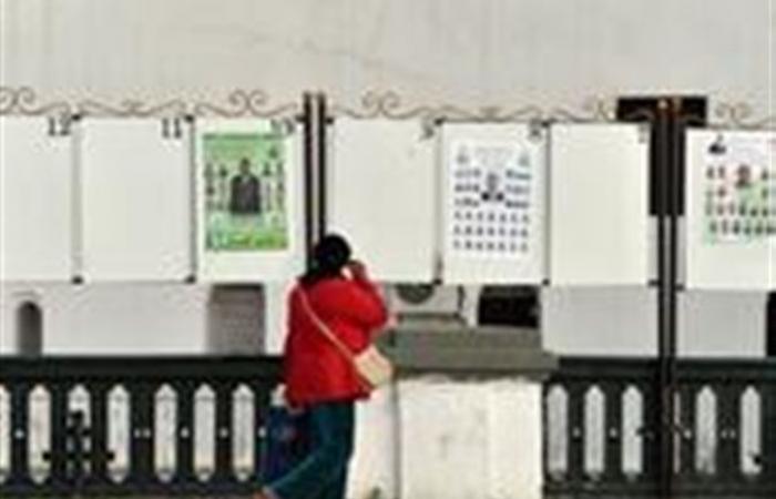 الجامعة العربية تعرب عن ارتياحها لنجاح الجزائر في إجراء الانتخابات البرلمانية