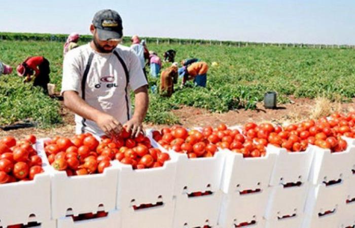 إسرائيل تسمح باستئناف محدود للصادرات من غزة