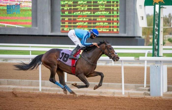 "نادي سباقات الخيل" يقيم حفل سباقه الثامن على كأس وزارة النقل وجائزة النادي التقديرية بالطائف