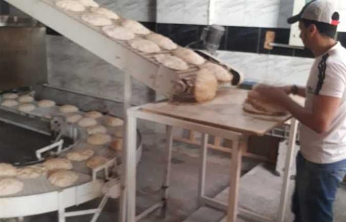 خبز ناقص الوزن ومخابز بدون ترخيص.. «تموين الإسكندرية» تفاجئ 8 إدارات وتحرر 327 محضرًا