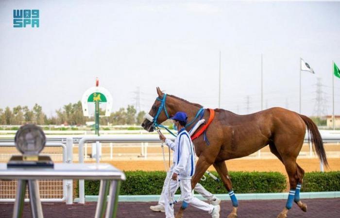 "نادي سباقات الخيل" يقيم حفل سباقه الثامن على كأس وزارة النقل وجائزة النادي التقديرية بالطائف