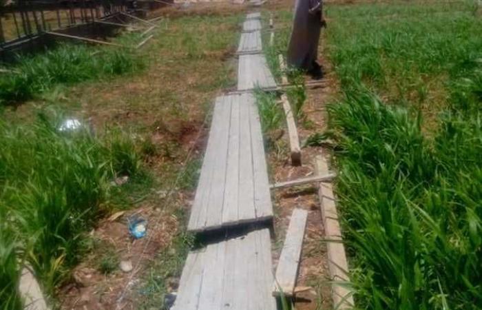 إزالة فورية لحالة تعدٍ على الأراضي الزراعية بقرية كرم عمران في قنا