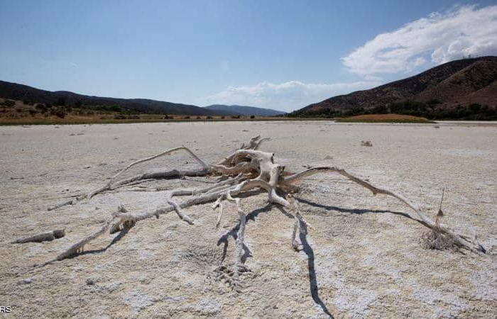 بينها الأفاعي والدببة.. الجفاف يدفع حيوانات برية للتجول بين المنازل بكاليفورنيا