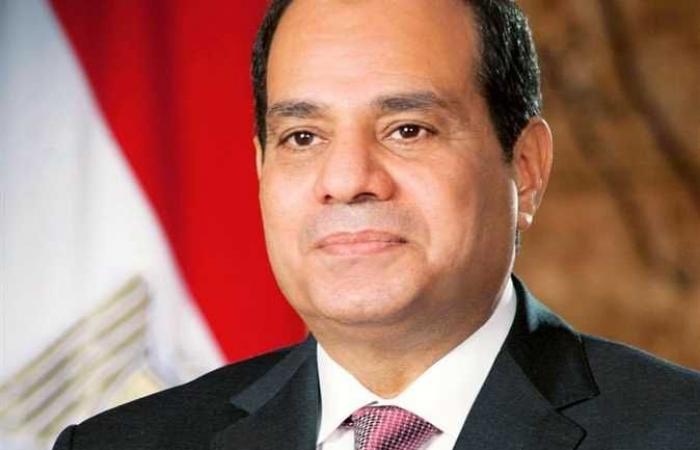 السيسي: ما يتم في الريف المصري بجهود مصرية