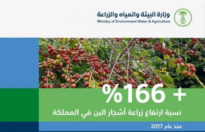 "البيئة": المملكة تحقق قفزة في زراعة 400 ألف شجرة بن بنهاية 2020