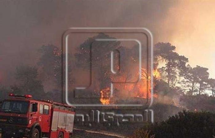 قبرص تسعى للحصول على مساعدة من الاتحاد الأوروبي وإسرائيل لمواجهة حريق غابات ضخم