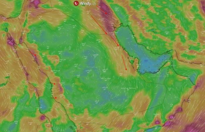 "المطرية" تعود بهذه المناطق.. "المسند" عن "طقس الأحد": "البوارح" تنشط!