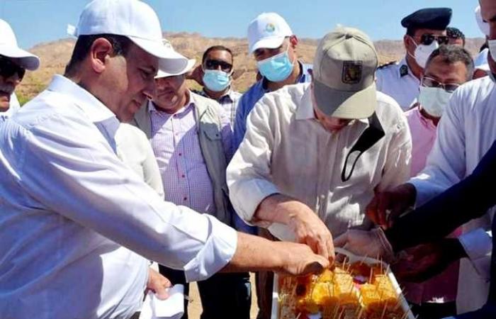 افتتاح اول مزرعة لإنتاج عسل «السدر» على 9 أفدنة بأبورديس في جنوب سيناء (صور)