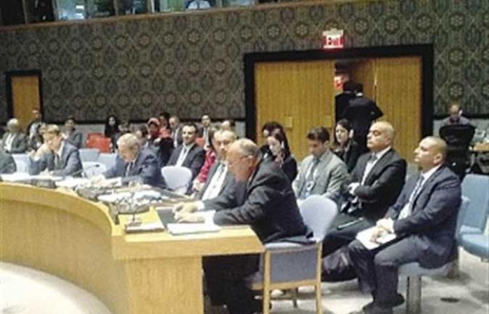 بث مباشر .. تفاصيل جلسة مجلس الأمن بشأن سد النهضة الإثيوبي وخيارات مصر والسودان