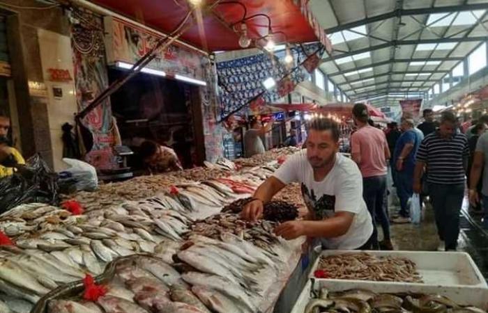 تزايد الإقبال على سوق الأسماك الجديد في بورسعيد
