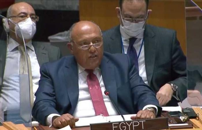 سامح شكري: حال إصرار إثيوبيا على موقفها لن يكون أمام مصر بديل سوى صون حقها في البقاء