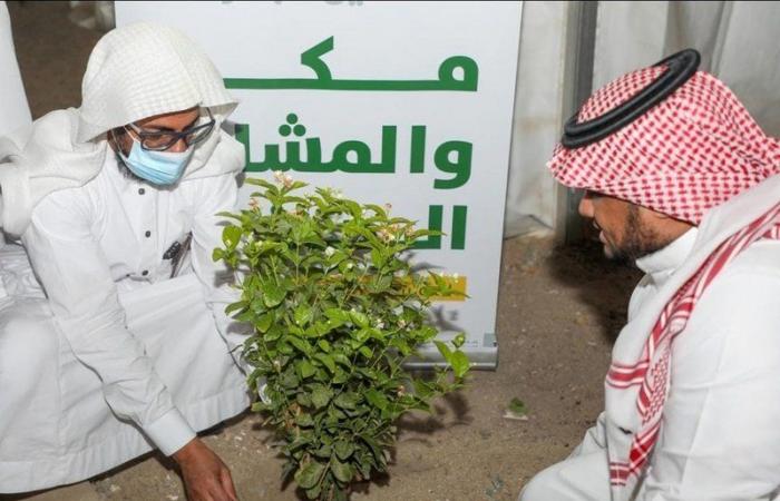 "حجاج الداخل" يطلق مبادرة "مكة والمشاعر الخضراء" بغرس 250 شتلة