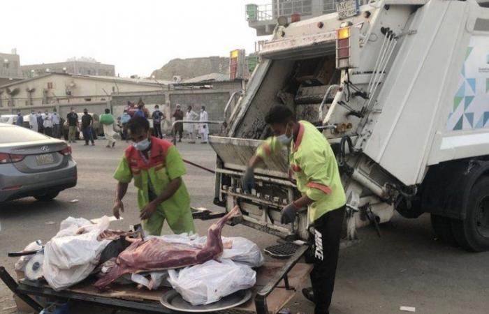 مكة.. مصادرة 14 رأساً من الأغنام ومصادرة وإتلاف كميات من اللحوم الفاسدة