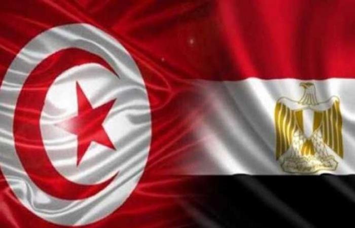 تونس تطلع مصر والسعودية والكويت وتركيا على أخر تطورات الوضع في البلاد