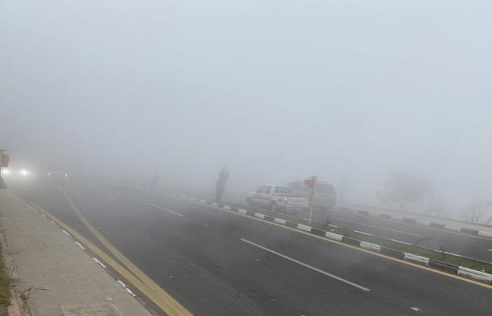 الضباب يشارك مرتادي غابة رغدان جلساتهم