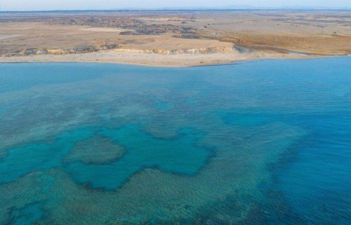 غطس وأعماق وشعاب.. تمتع في شاطئ الهرابة حيث الجزر والمغامرة