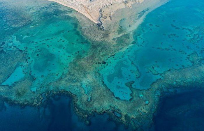 غطس وأعماق وشعاب.. تمتع في شاطئ الهرابة حيث الجزر والمغامرة