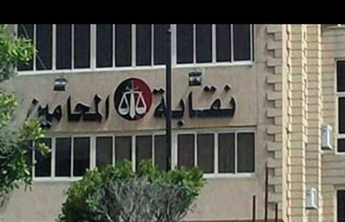 «محامين بورسعيد»: بدء تلقى أوراق الأعضاء الراغبين في الخروج على المعاش