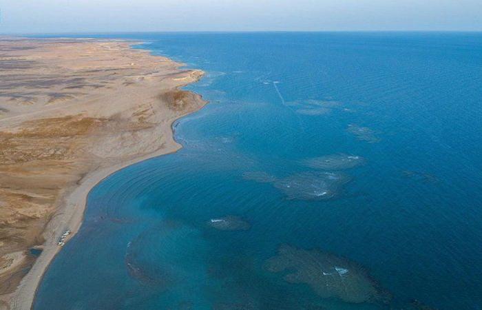 غطس وأعماق وشعاب.. تمتع في شاطئ الهرابة حيث الجزر والمغامرة