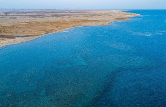 غطس وأعماق وشعاب.. تمتع في شاطئ الهرابة حيث الجزر والمغامرة