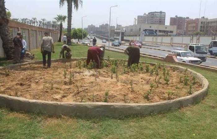 رفع 9 آلاف طن مخلفات من 4 أحياء في الجيزة