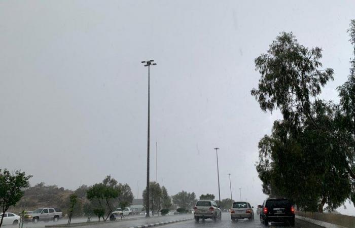 شاهد .. أمطار غزيرة على "شفا الطائف" دفعت المواطنين للتنزه