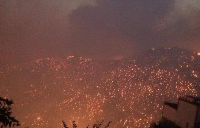 مصرع 3 أشخاص إثر حرائق غابات "تيزي وزو" بالجزائر