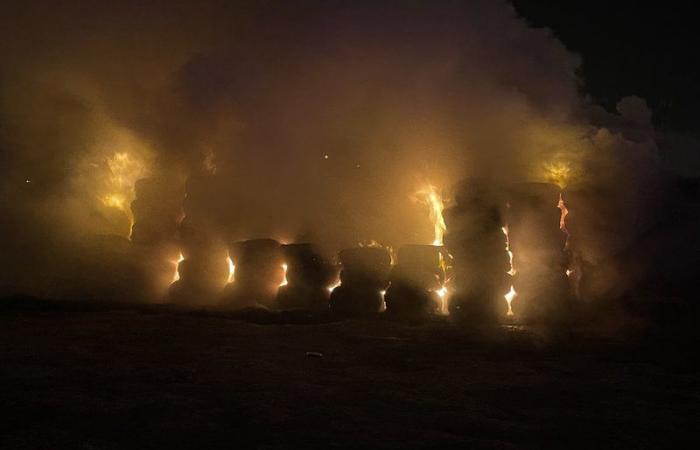شاهد.. "مدني الأفلاج" يباشر حريقًا اندلع في سوق الأعلاف