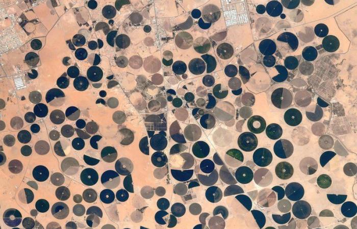 التُقط من الفضاء.. مشهد في السعودية يثير حيرة رائد فضاء فرنسي