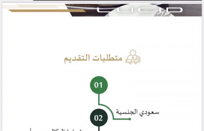 صندوق الاستثمارات يُطلق برنامج "Lucid" لتدريب السعوديين في أمريكا