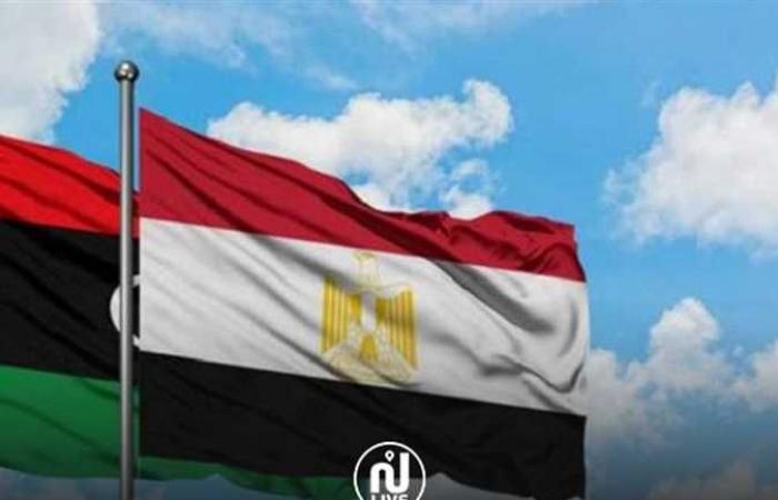 برلماني: موقف مصر تجاه الأزمة الليبيبة يساعد في تماسك المؤسسات الوطنية في دولة الجوار