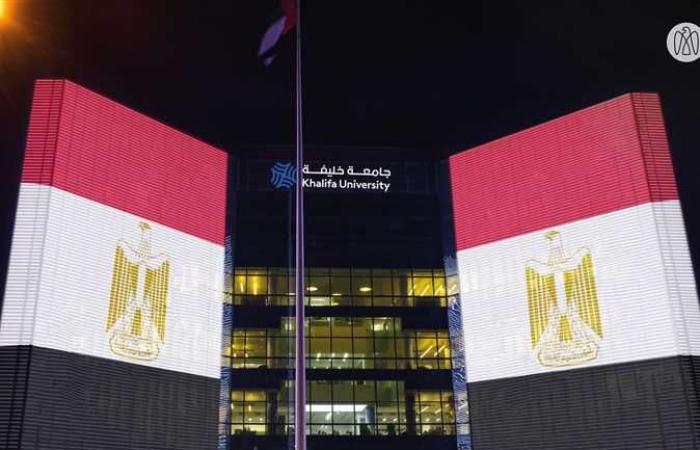 المعهد المصرفي: مصر تقدم يد العون للبنوك المركزية الأفريقية