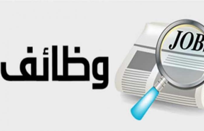 «الأقارب يمتنعون».. البنك الأهلي المصري يعلن عن وظائف خالية لحديثي التخرج والخبرات والمتدربين