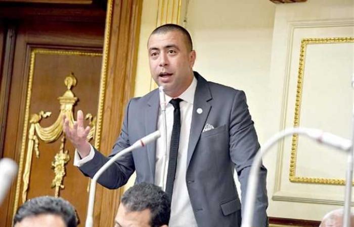 «بهاء شلبي» رئيسا للهيئة البرلمانية لحزب «حماة وطن» بمجلس النواب