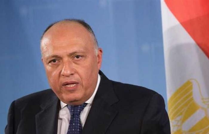 وزير الخارجية : العلاقات المصرية - القطرية تسير بشكل جيد