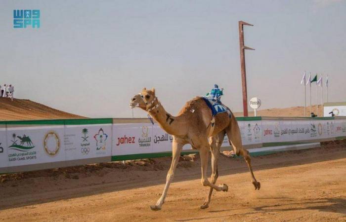 هجن "تركي بن محمد" تنتزع رمز فئة الثنايا الأبكار في كأس الاتحاد السعودي