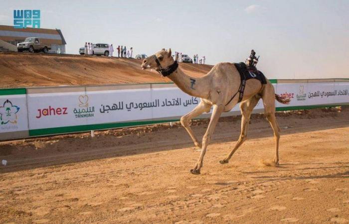 هجن "تركي بن محمد" تنتزع رمز فئة الثنايا الأبكار في كأس الاتحاد السعودي