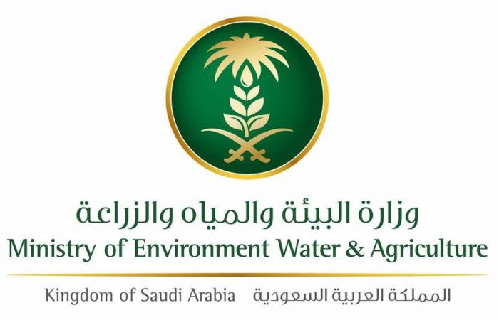 اللجنة التوجيهية لقطاع المياه بـ"البيئة" تتابع تنفيذ مبادرات رؤية 2030