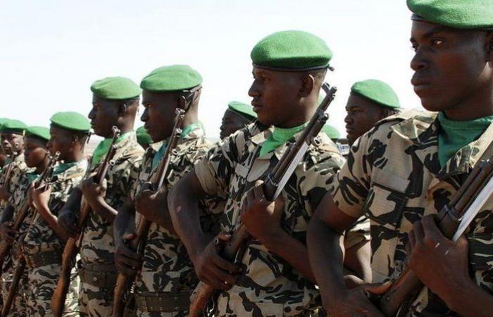 مقتل 16 عسكريًا وإصابة 10 آخرين في هجوم بوسط مالي