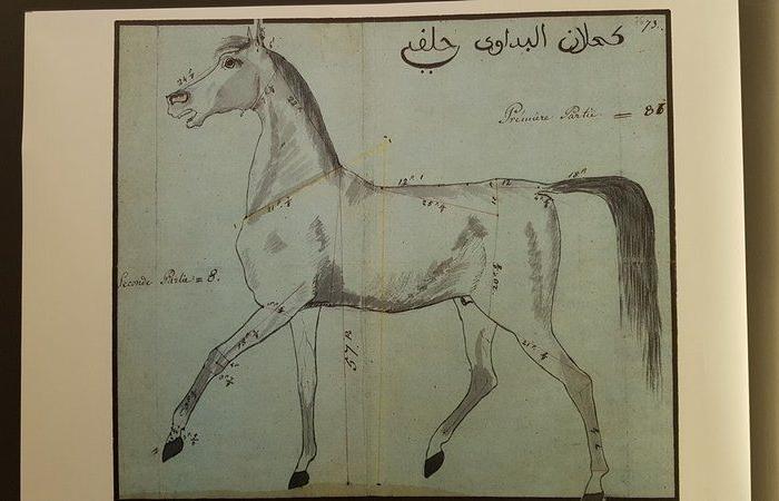 تُوَثق حياة العرب بداية القرن الـ19.. "مخطوطات جوفيسكي" تستقطب زوار "كتاب الرياض"