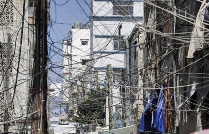 فياض يؤكد إعادة الشبكة الكهربائية في لبنان
