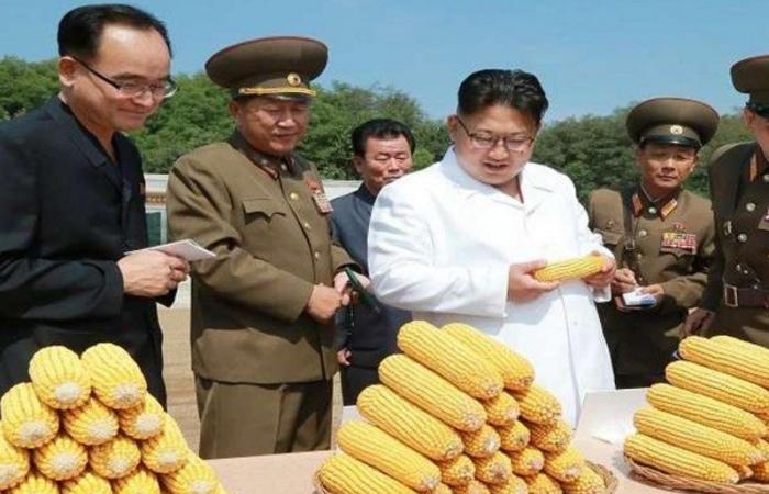 الأمم المتحدة تحذّر من مجاعة محتملة في كوريا الشمالية